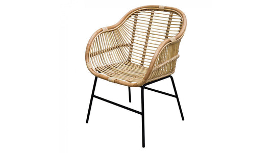 KENTIA CHAIR