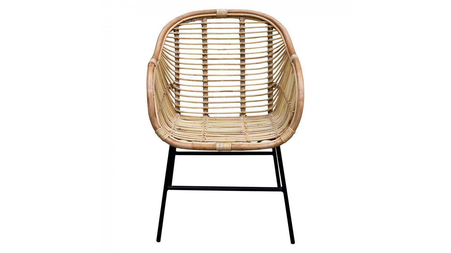 KENTIA CHAIR