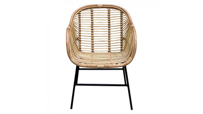 KENTIA CHAIR