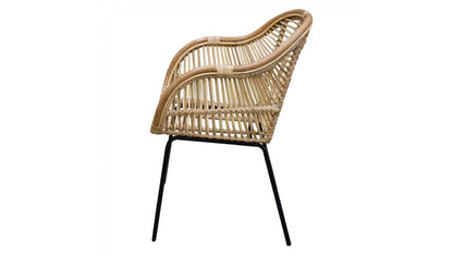 KENTIA CHAIR